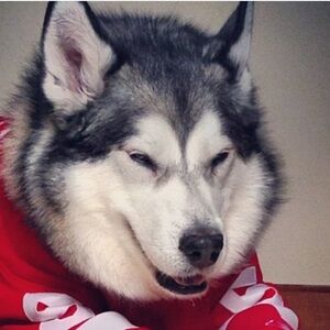 FOLLOW ME ON INSTAGRAM! @Mindylovesaspen like this listing ❤️